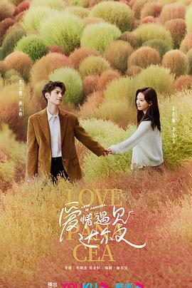 成都网站优化排名推广